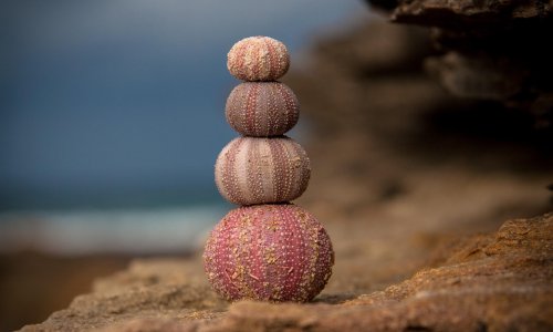 What makes Cloudberry Clinic unique?