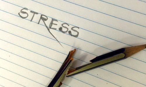 Stress – Friend or Foe?