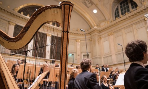 Talk given for Harp Centre Australia